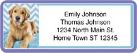 Click on the Address Labels for more details.