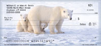 Bear Checks