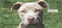 Dog Checks
