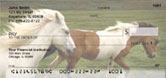 Horse Checks