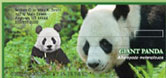 Wildlife Personal Checks