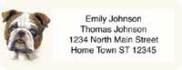 Click on the Dog Address Labels for more details.
